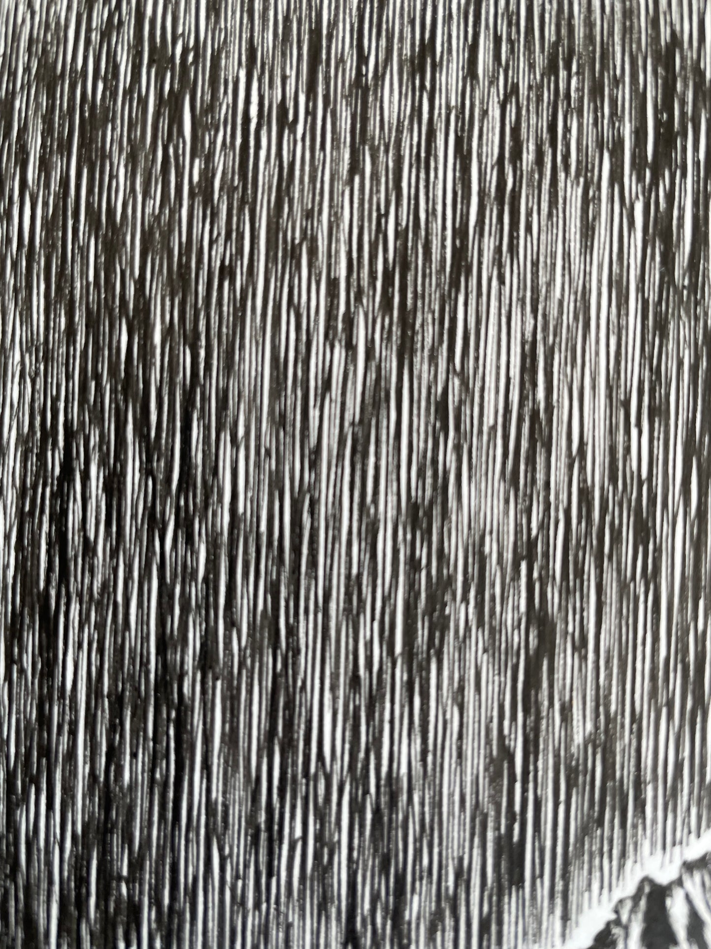 Homecoming - 11x14