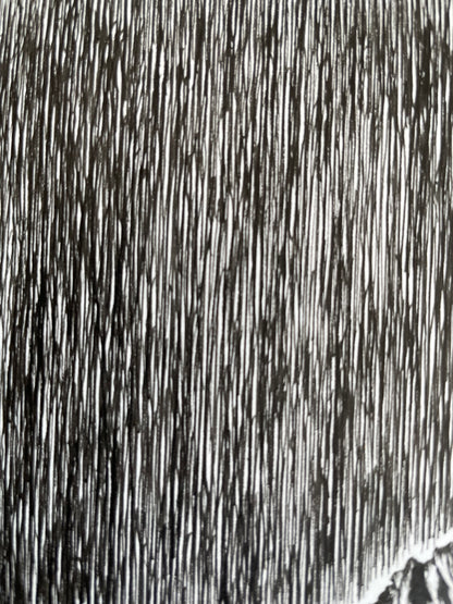 Homecoming - 11x14