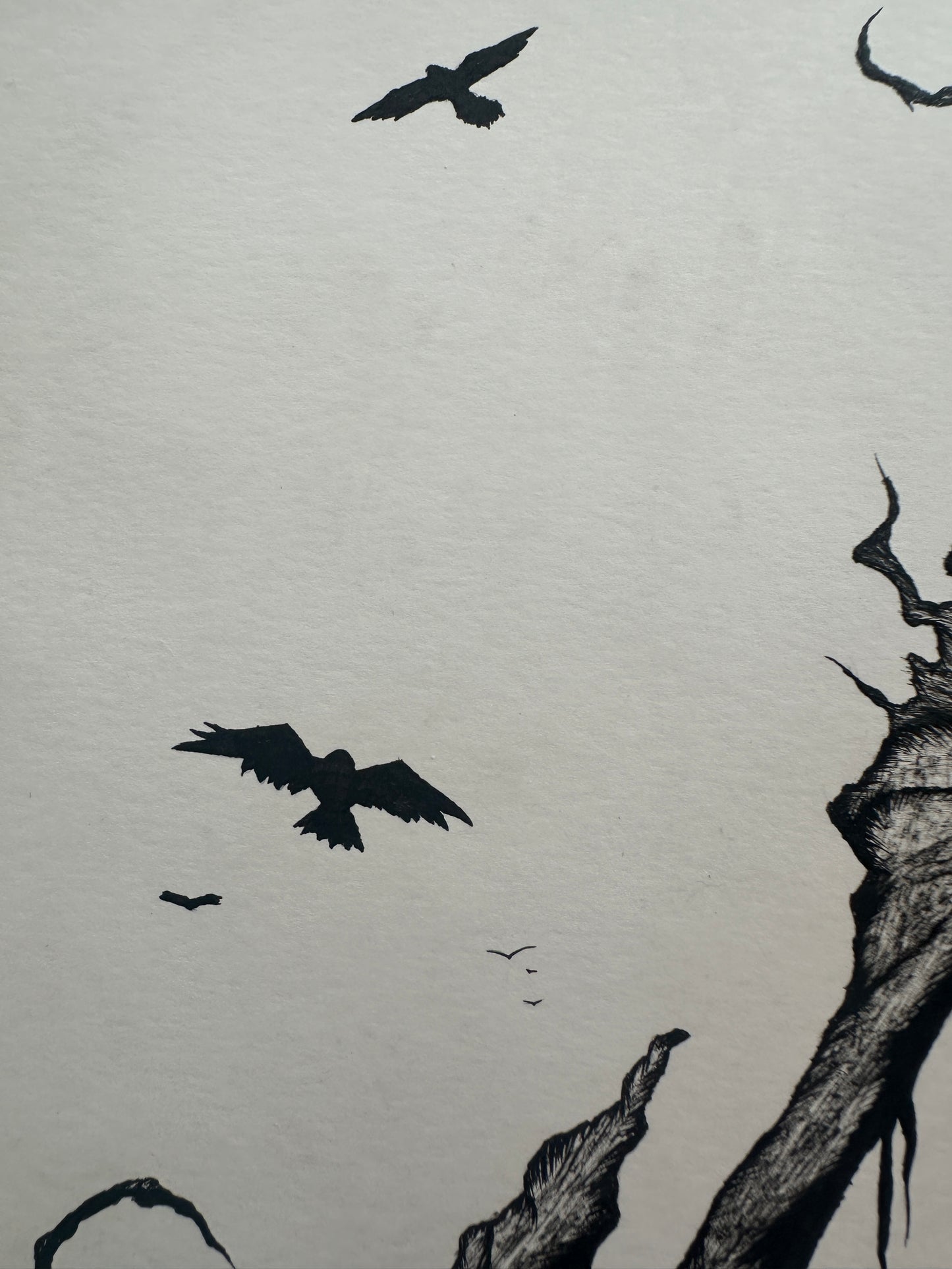 Sorraska - 16x20